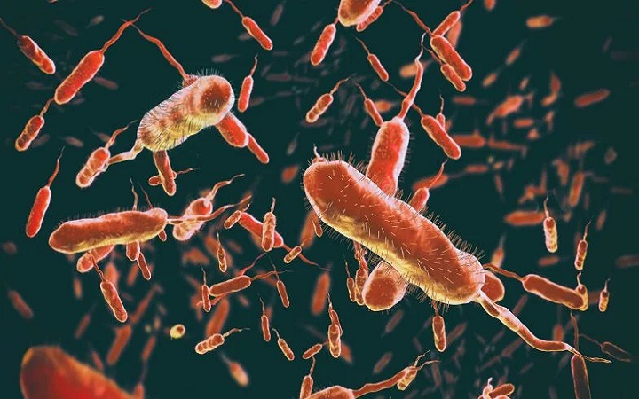 Cholera. Czy istnieje ryzyko epidemii?