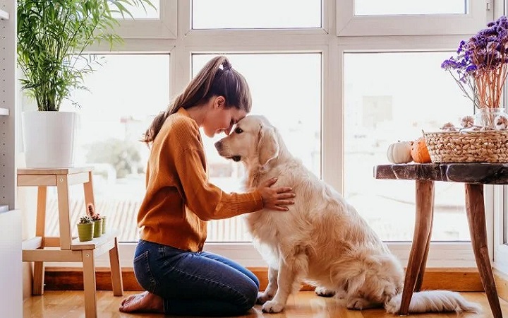     Dogoterapia. Czy kontakt z psem może działać terapeutycznie?&nbsp;       