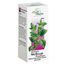 Intractum Melissae Phytopharm 4,575 g/ 5 ml, płyn doustny, 100 ml USZKODZONE OPAKOWANIE - miniaturka 2 zdjęcia produktu