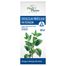 Intractum Melissae Phytopharm 4,575 g/ 5 ml, płyn doustny, 100 ml - miniaturka  zdjęcia produktu