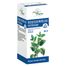 Intractum Melissae Phytopharm 4,575 g/ 5 ml, płyn doustny, 100 ml - miniaturka 2 zdjęcia produktu