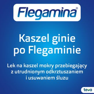Flegamina Junior 2 mg/ 5 ml, smak truskawkowy, syrop, 200 ml - 4 Flegamina Junior 2 mg/ 5 ml, smak truskawkowy, syrop, 200 ml - 4 - zdjęcie produktu