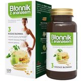 Błonnik z ananasem, 120 tabletek do połykania, ssania lub gryzienia USZKODZONE OPAKOWANIE - miniaturka zdjęcia produktu