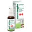 Neo-Angin (14,58 mg + 2,92 mg + 0,87 mg)/ ml, roztwór do stosowania na błonę śluzową jamy ustnej i gardła, 30 ml - miniaturka  zdjęcia produktu