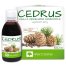 Alter Medica Cedrus, olej z orzechów cedrowych, 100 ml