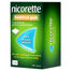 Nicorette FreshFruit Gum 2 mg, guma do żucia, lecznicza, 105 sztuk - miniaturka  zdjęcia produktu