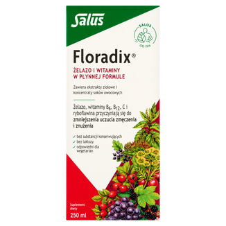 Floradix Żelazo i Witaminy, 250 ml USZKODZONE OPAKOWANIE - zdjęcie produktu