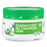 Virde, żel żywokostowy z jałowcem i MSM, 350 g - miniaturka zdjęcia produktu