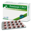 Femisept Uro, 60 tabletek - miniaturka  zdjęcia produktu
