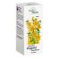 Intractum Hyperici Phytopharm 4,65 g/ 5 ml, płyn doustny, 100 ml USZKODZONE OPAKOWANIE - miniaturka 2 zdjęcia produktu