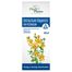 Intractum Hyperici Phytopharm 4,65 g/ 5 ml, płyn doustny, 100 ml - 1 Intractum Hyperici Phytopharm 4,65 g/ 5 ml, płyn doustny, 100 ml - miniaturka zdjęcia produktu
