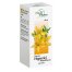 Succus Hyperici Phytopharm 2,425 g/ 2,5 ml, płyn doustny, 100 ml USZKODZONE OPAKOWANIE - miniaturka 2 zdjęcia produktu