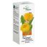 Succus Taraxaci Phytopharm 4,85 g/ 5 ml, płyn doustny, 100 ml USZKODZONE OPAKOWANIE - 2 Succus Taraxaci Phytopharm 4,85 g/ 5 ml, płyn doustny, 100 ml USZKODZONE OPAKOWANIE - miniaturka 2 zdjęcia produktu