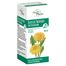Succus Taraxaci Phytopharm 4,85 g/ 5 ml, płyn doustny, 100 ml - miniaturka 2 zdjęcia produktu