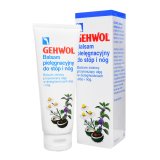 Gehwol Bein Balsam, pielęgnacyjny balsam do stóp i nóg, 125 ml - miniaturka zdjęcia produktu