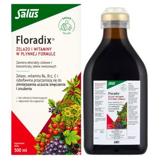 Floradix Żelazo i Witaminy, 500 ml Floradix Żelazo i Witaminy, 500 ml - zdjęcie produktu