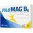Filomag B6 40 mg + 5 mg, 75 tabletek - miniaturka  zdjęcia produktu