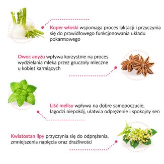 Lactosan Fix, mieszanka ziołowa do zaparzania, 1,5 g x 20 saszetek - 2 Lactosan Fix, mieszanka ziołowa do zaparzania, 1,5 g x 20 saszetek - 2 - zdjęcie produktu
