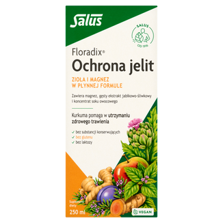 Floradix Ochrona Jelit, 250 ml Floradix Ochrona Jelit, 250 ml - zdjęcie produktu