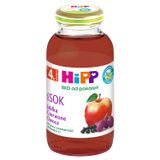 HiPP Sok 100% Bio, czerwone owoce, po 4 miesiącu, 200 ml - miniaturka zdjęcia produktu