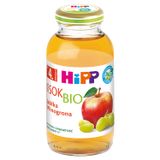 HiPP Sok 100% Bio, jabłka-winogrona, bez dodatku cukru, po 4 miesiącu, 200 ml - miniaturka zdjęcia produktu