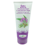 Gorvita, żel żywokostowy z jałowcem i MSM, 200 ml - miniaturka zdjęcia produktu