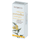 Sylveco, odżywcza pomadka z peelingiem, 4,6 g KRÓTKA DATA - miniaturka zdjęcia produktu