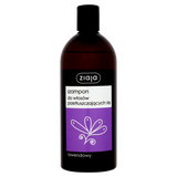 Ziaja, szampon do włosów przetłuszczających się, lawendowy, 500 ml USZKODZONE OPAKOWANIE - miniaturka zdjęcia produktu
