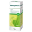 PlantagoPharm 506 mg/5 ml, syrop, 200 ml - miniaturka  zdjęcia produktu