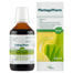 PlantagoPharm 506 mg/5 ml, syrop, 200 ml - miniaturka 2 zdjęcia produktu