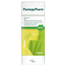 PlantagoPharm 506 mg/5 ml, syrop, 200 ml - miniaturka 3 zdjęcia produktu