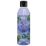 Barwa Naturalna, szampon lniany, 300 ml - miniaturka zdjęcia produktu