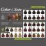 Color&Soin, farba do włosów, 3N, ciemny kasztan, 135 ml - miniaturka 2 zdjęcia produktu