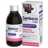 Sambucus Kids, syrop dla dzieci powyżej 1 roku życia, smak malinowy, 120 ml USZKODZONE OPAKOWANIE - miniaturka zdjęcia produktu