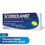 Scorbolamid 300 mg +100 mg + 5 mg, 40 tabletek drażowanych USZKODZONE OPAKOWANIE - miniaturka 2 zdjęcia produktu