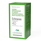 Lehning Echinacea Complexe Nr 40, krople doustne, roztwór, 30 ml Lehning Echinacea Complexe Nr 40, krople doustne, roztwór, 30 ml - miniaturka zdjęcia produktu