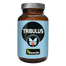 Hanoju Tribulus, buzdyganek, 90 tabletek - miniaturka  zdjęcia produktu
