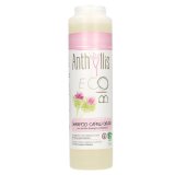 Anthyllis EcoBio, szampon do włosów przetłuszczających się i z łupieżem, wyciąg z łopianu, 250 ml - miniaturka zdjęcia produktu