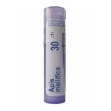 Boiron Apis mellifica 30 CH, granulki, 4 g - miniaturka zdjęcia produktu