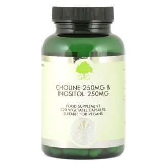 G&G Choline 250 mg & Inositol 250 mg, cholina i inozytol, 120 kapsułek - zdjęcie produktu