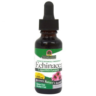 Nature's Answer Echinacea, jeżówka, krople, bez alkoholu, 30 ml - zdjęcie produktu