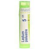 Boiron Ledum palustre 5 CH, granulki, 4 g - miniaturka zdjęcia produktu