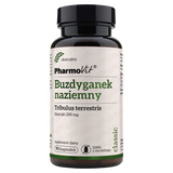 PharmoVit Buzdyganek naziemny, 90 kapsułek - miniaturka zdjęcia produktu