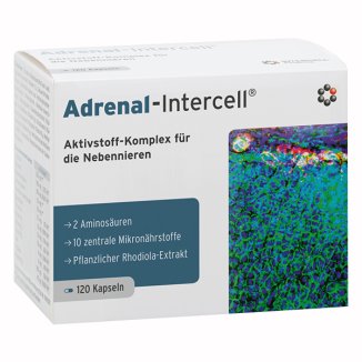 Adrenal-Intercell, 120 kapsułek USZKODZONE OPAKOWANIE - zdjęcie produktu