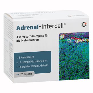 Mito-Pharma Adrenal-Intercell, 120 kapsułek - zdjęcie produktu