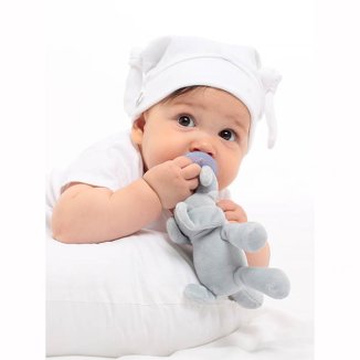 MINIKOIOI, smoczek uspokajający z przytulanką Elephant, od urodzenia, 1 sztuka - 2 MINIKOIOI, smoczek uspokajający z przytulanką Elephant, od urodzenia, 1 sztuka - 2 - zdjęcie produktu