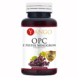 Yango OPC z pestek winogron, ekstrakt 95%, 90 kapsułek - miniaturka zdjęcia produktu