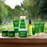 Weleda, Skin Food Light, krem do pielęgnacji skóry suchej, 75 ml - miniaturka 2 zdjęcia produktu