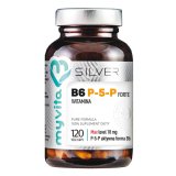 MyVita Silver, Witamina B6 P-5 Forte, 120 kapsułek - miniaturka zdjęcia produktu
