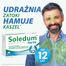 Soledum forte 200 mg, 20 kapsułek dojelitowych USZKODZONE OPAKOWANIE - 2 Soledum forte 200 mg, 20 kapsułek dojelitowych USZKODZONE OPAKOWANIE - miniaturka 2 zdjęcia produktu